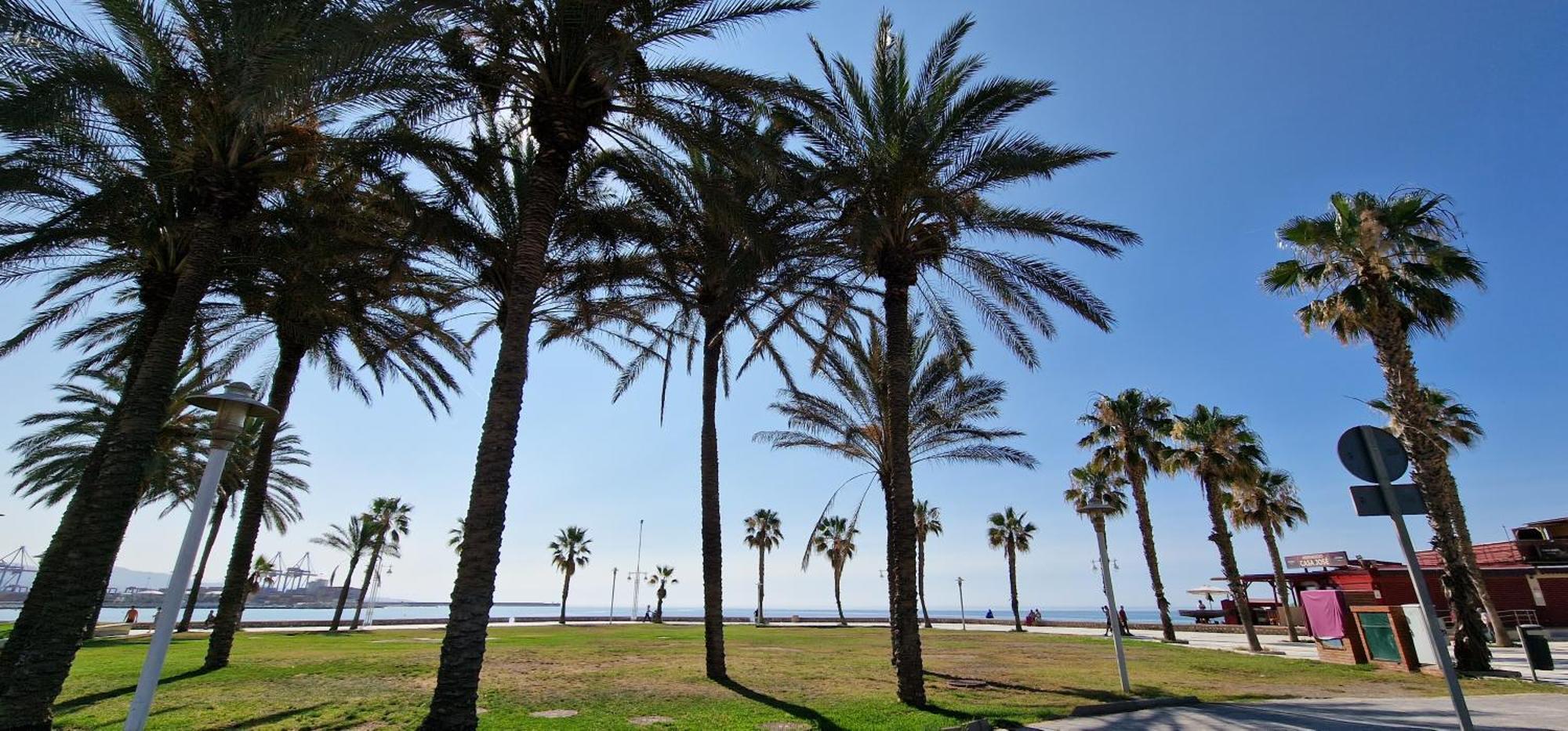 Paloma Beach Málaga Dış mekan fotoğraf